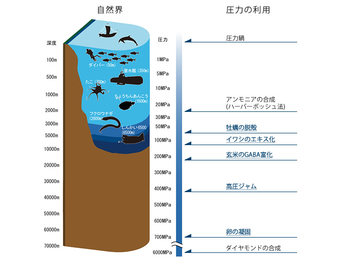 水深と静水圧の図