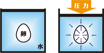 卵でみる高圧処理による物性変換の図